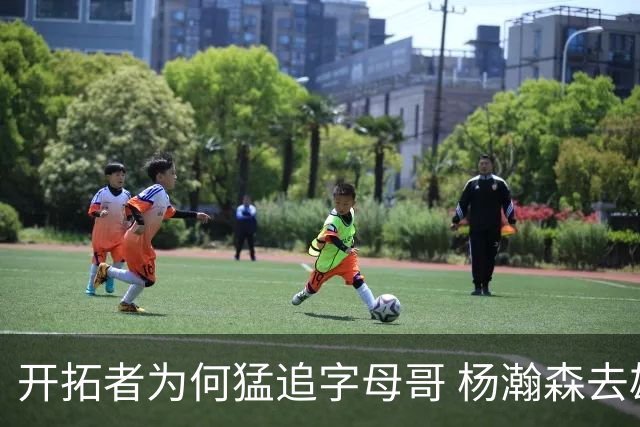 开拓者为何猛追字母哥 杨瀚森去雄鹿是好事？